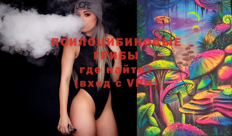 Псилоцибиновые грибы Psilocybe  ссылка на мегу   Болотное 